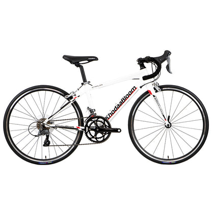 【2026年モデル】STRAUSS 24