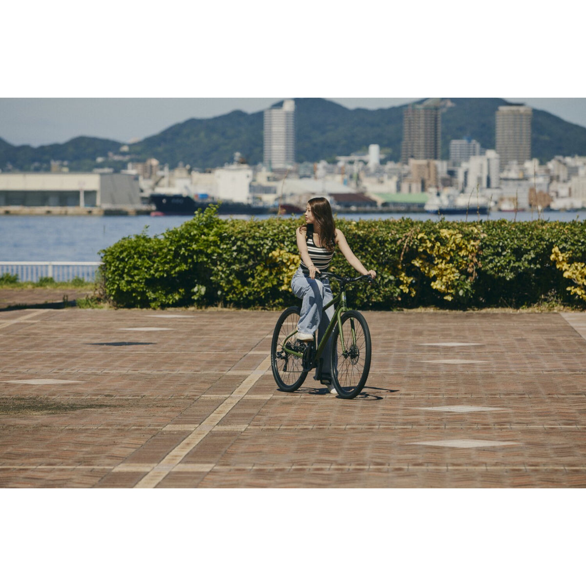 【2026年モデル】FAIRFAX DISC SE