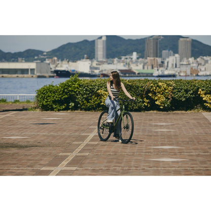 【2026年モデル】FAIRFAX DISC SE