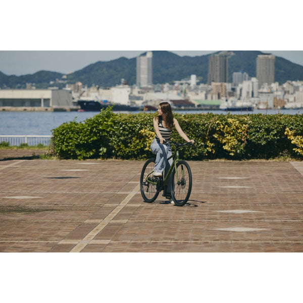 【2026年モデル】FAIRFAX DISC SE