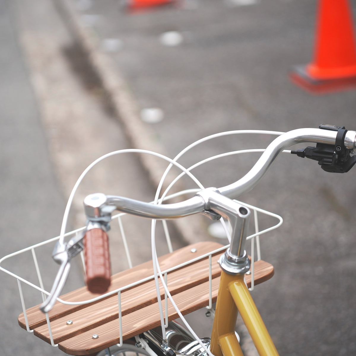 Trove（original custom bike）