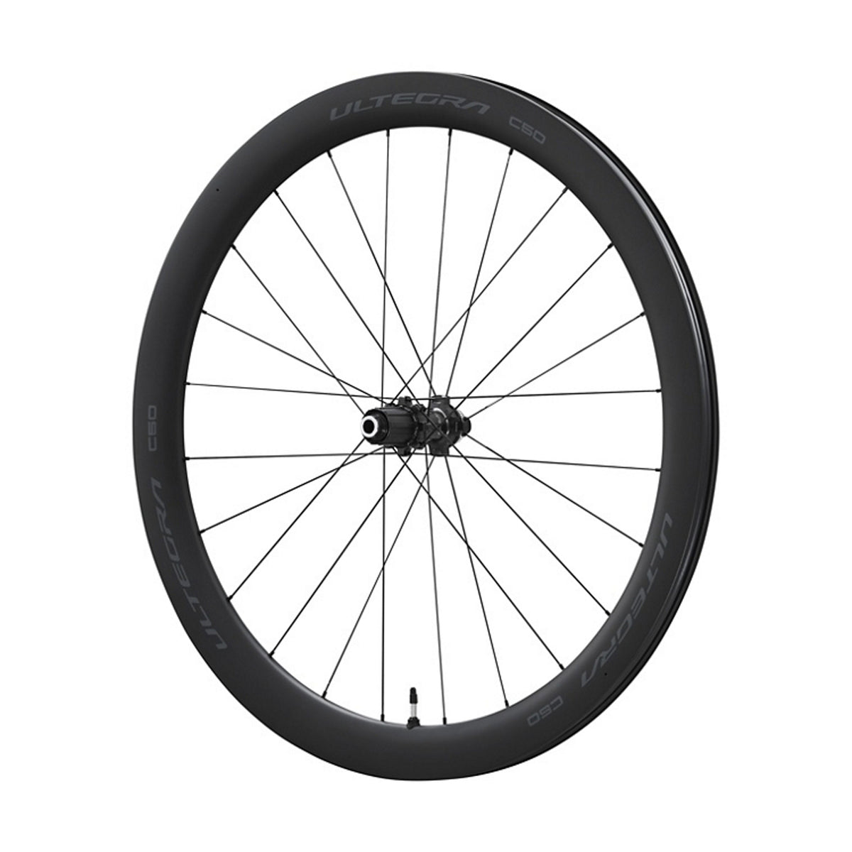 WH-R8170-C50TL（ULTEGRA）