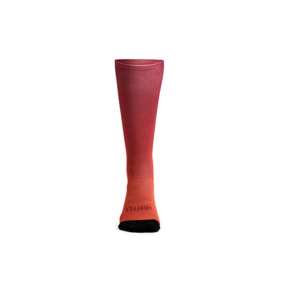 FADING LIGHT SOCK