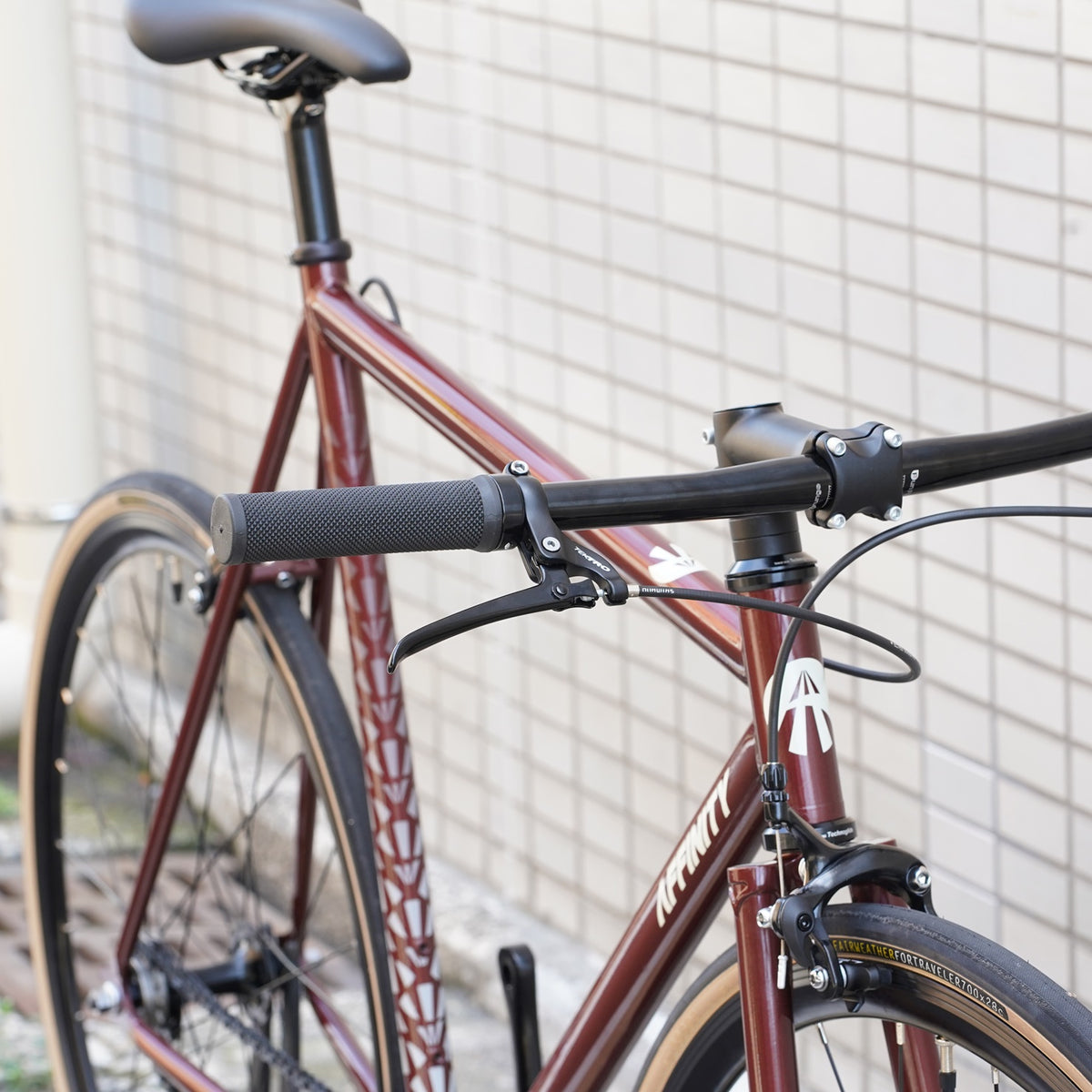 LO PRO original complete bike（BRICK RED/M）