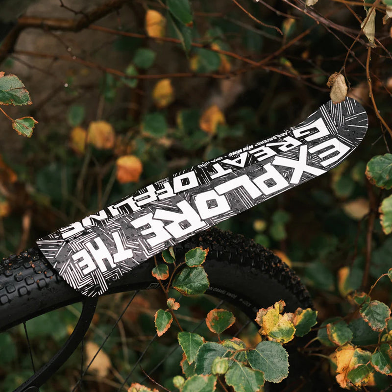 Win Wing Gravel 2