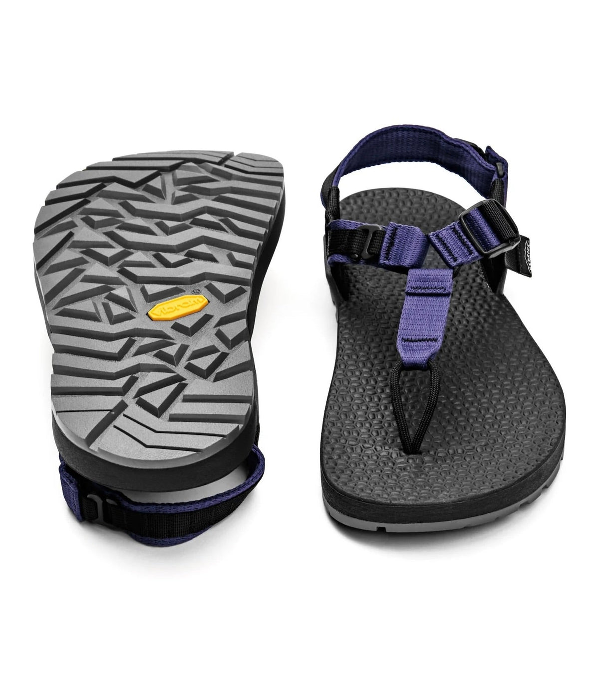 **Color: Lupine Purple**