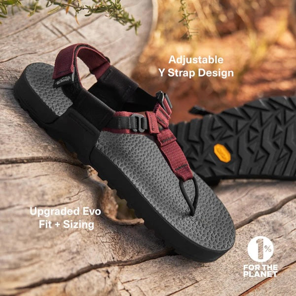 Cairn Evo C Sandals - 2025SS New Color ベッドロックサンダルス ケルン エヴォ