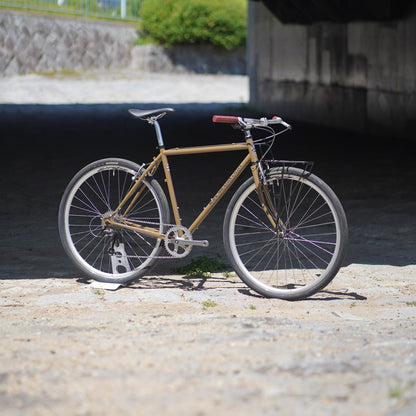 MONSTER CROSS V6.1（original complete bike-53size）