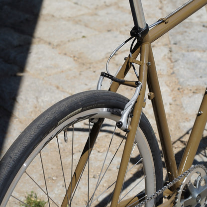 MONSTER CROSS V6.1（original complete bike-53size）