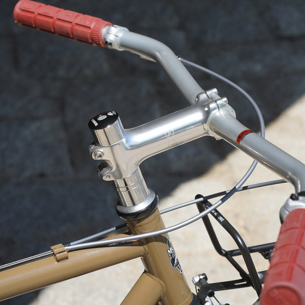 MONSTER CROSS V6.1（original complete bike-53size）