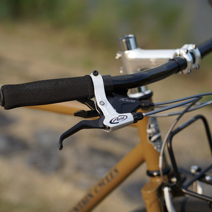 MONSTER CROSS V6.1（original complete bike-53size）