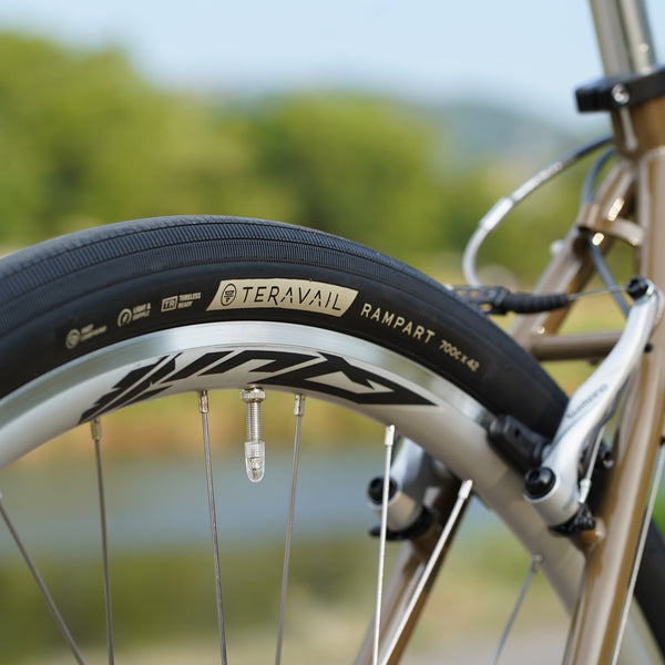 MONSTER CROSS V6.1（original complete bike-53size）