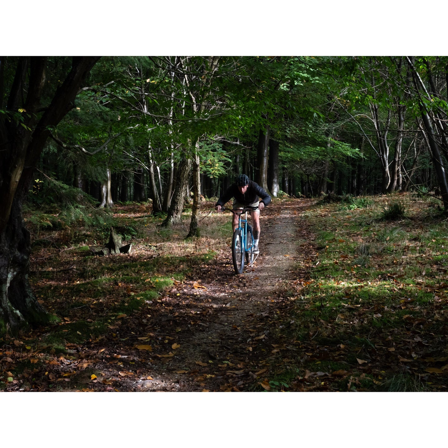 PINE CONE ブラザーサイクルズ スチール フレーム MTB レトロ マウンテンバイク 650B フレーム シングルスピード 対応 フレーム グラベル MTB フレーム クロモリ フレーム 自転車