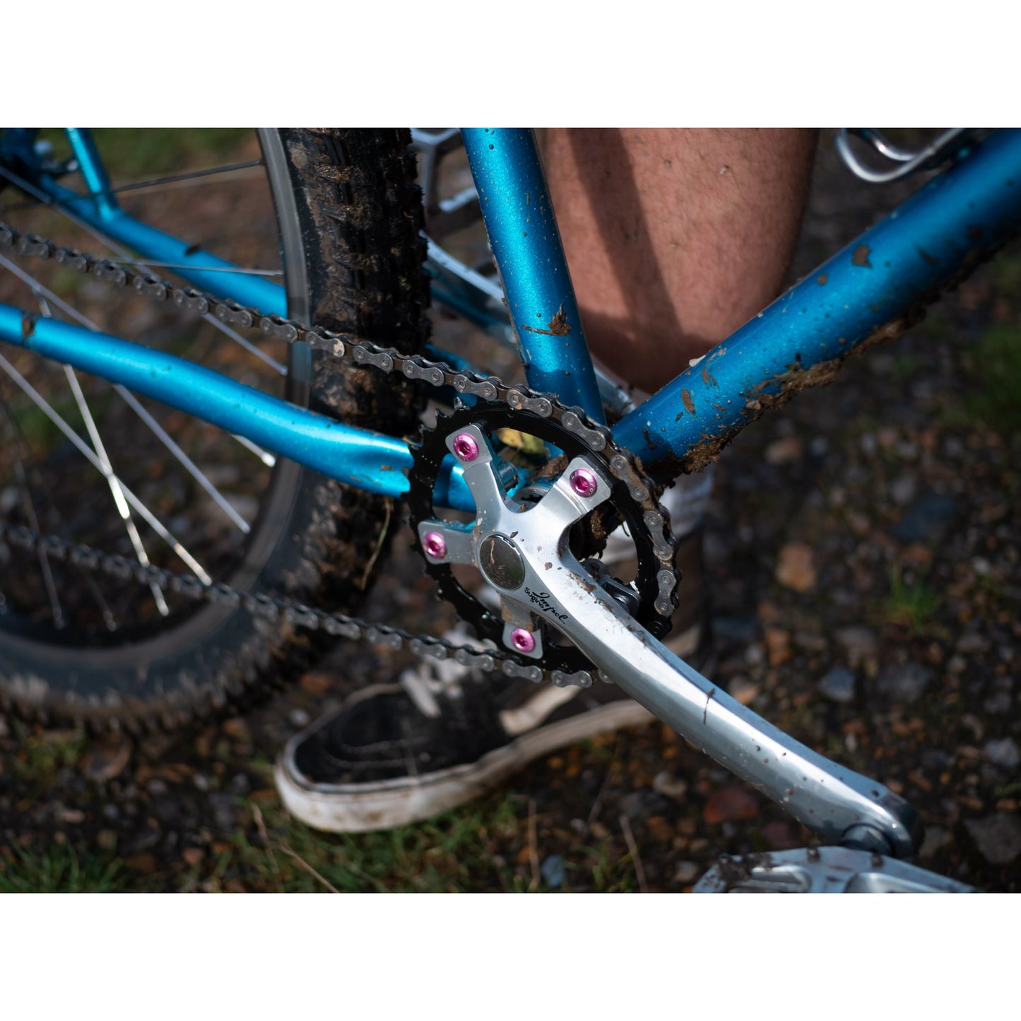 PINE CONE ブラザーサイクルズ スチール フレーム MTB レトロ マウンテンバイク 650B フレーム シングルスピード 対応 フレーム グラベル MTB フレーム クロモリ フレーム 自転車