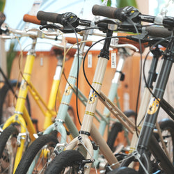 MIXTE BLACK EDITION PHOTO COLLECTION