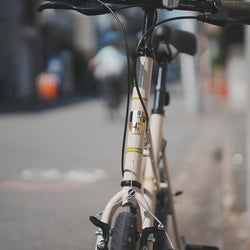 MIXTE BLACK EDITION PHOTO COLLECTION
