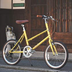 MIXTE SILVER EDITION PHOTO COLLECTION