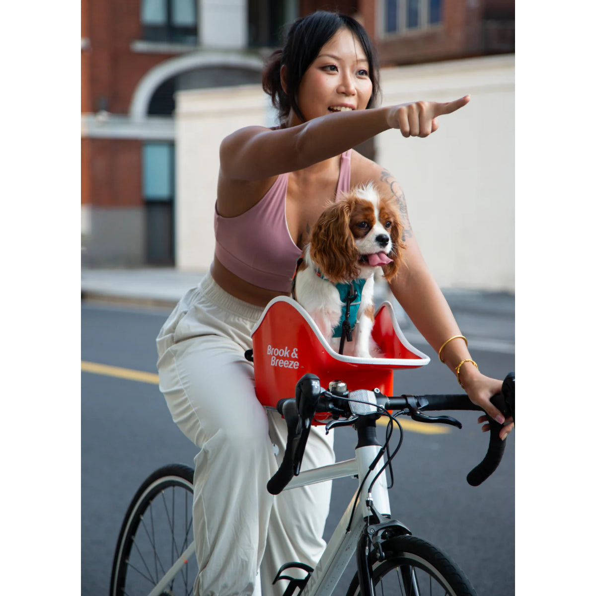 Canine Copilot Brook & Breeze Canine Copilot ドッグシート 犬 自転車 同乗 小型犬 ハーネス ペット用バイクシート クイックリリース ドッグキャリア 犬とのサイクリング