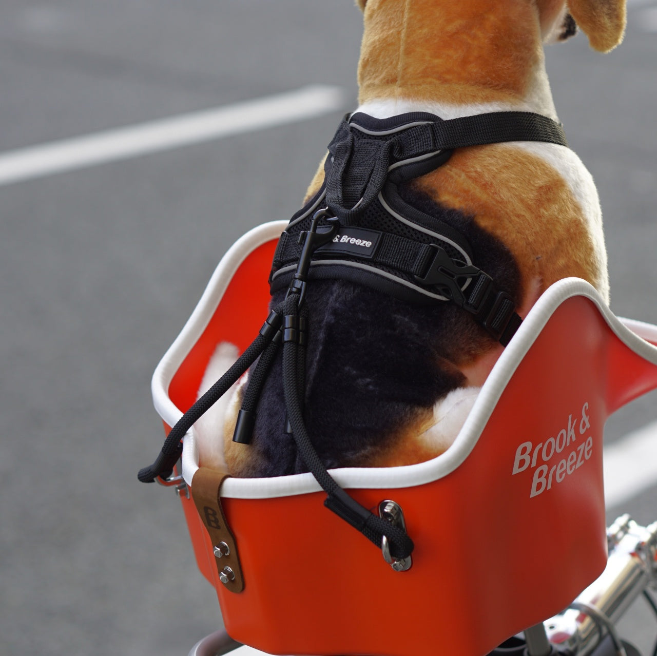Brook & Breeze / Canine Copilot – 京都の自転車屋 CYCLE SHOP eirin
