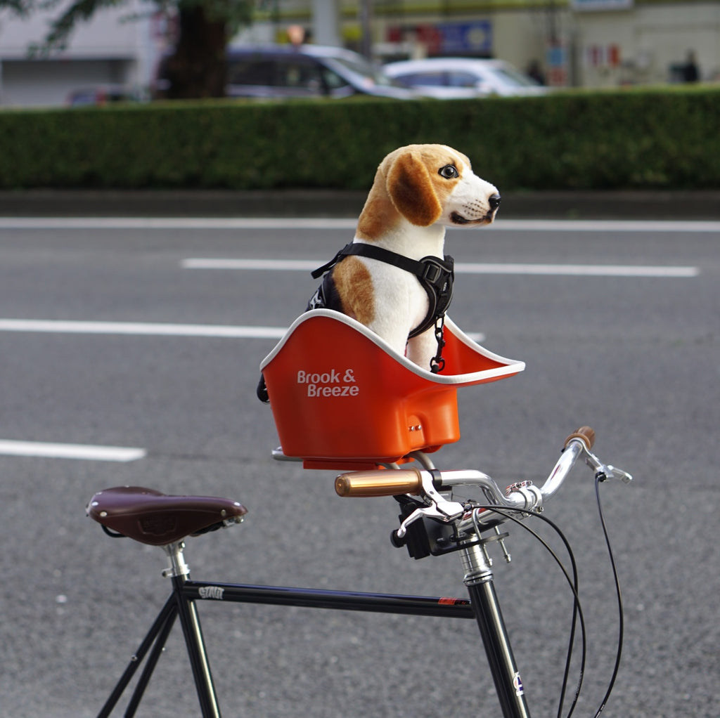 Brook & Breeze_Canine Copilot