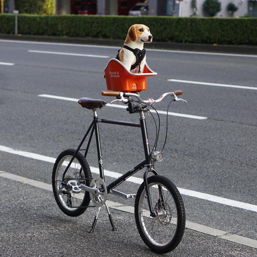 Brook & Breeze_Canine Copilot