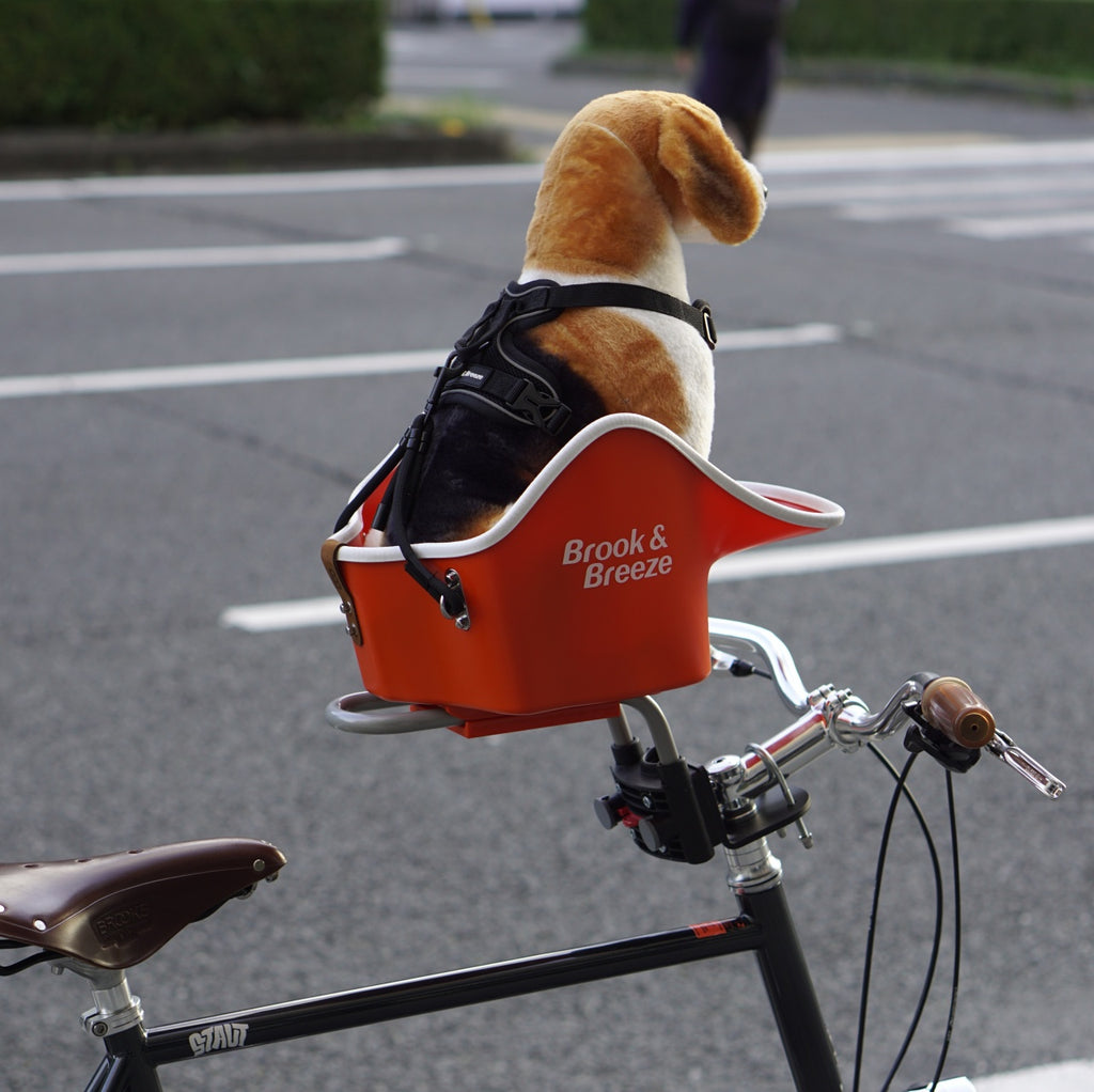 Brook & Breeze_Canine Copilot