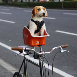Canine Copilot PHOTO COLLECTION