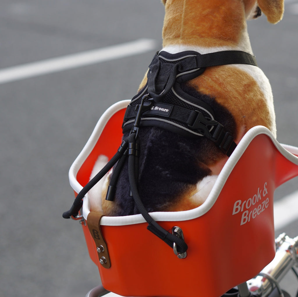 Brook & Breeze_Canine Copilot
