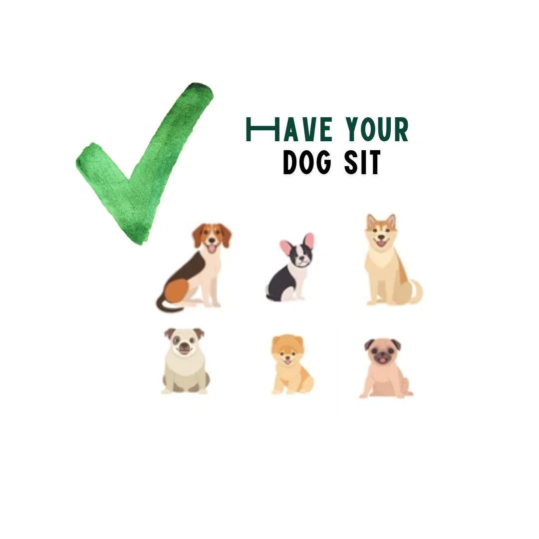 **犬を座らせた状態で測ってください。**