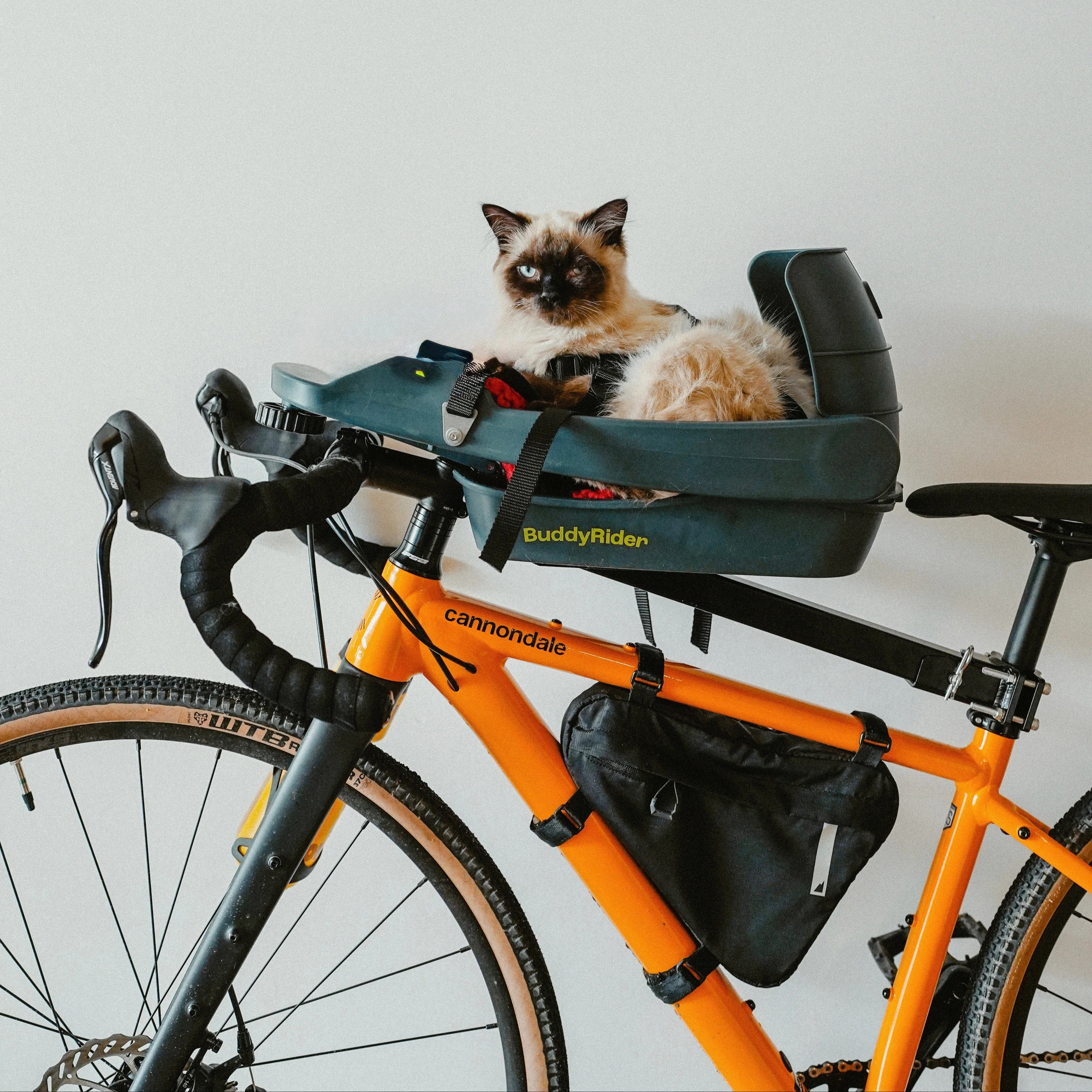 BuddyRider｜ペットシート Series2（自転車用） – 京都の自転車屋