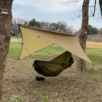 CT TARP