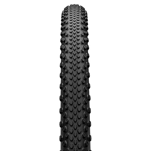 TERRA TRAIL PROTECTION（Black/Transparent skin｜700×40C）