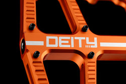 FLAT TRAK PHOTO COLLECTION
