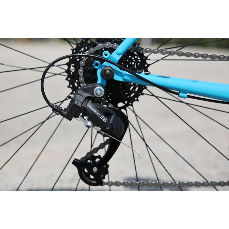 FAIRDALE / LOOKFAR STEP-THRU – 京都の自転車屋 CYCLE SHOP eirin