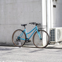 FAIRDALE LOOKFAR STEP-THRU（original custom bike）
