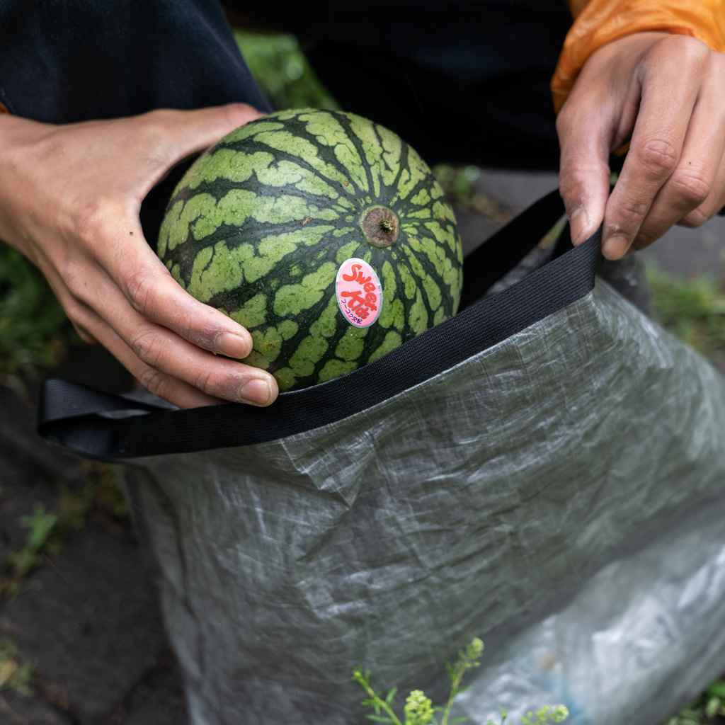 packable sacoche （dyneema）