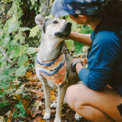 DAY DREAMER "BANDANA"