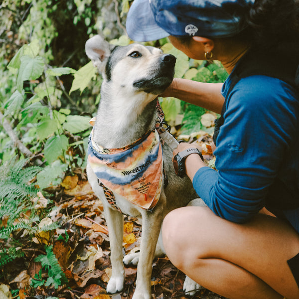 DAY DREAMER "BANDANA"