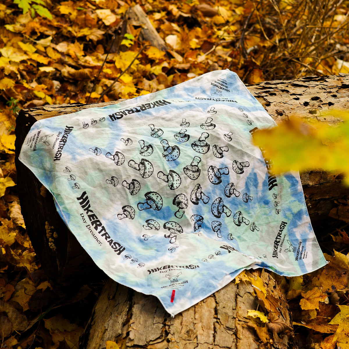 DAY DREAMER "BANDANA"