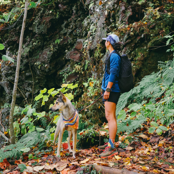 DAY DREAMER "HIKE TREK MID"