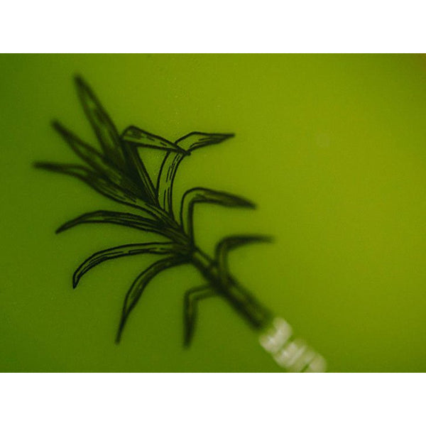 【在庫セール！】JET GREEN / JET GREEN PLUS