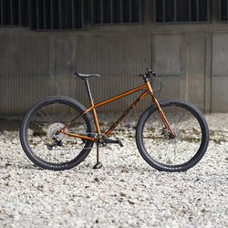 【2026年モデル】UNIT X（Gloss Metallic Gold） PHOTO COLLECTION
