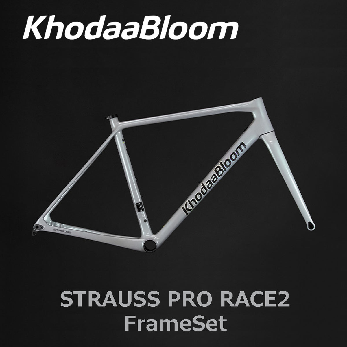 【2025年モデル】STRAUSS PRO RACE2 FrameSet