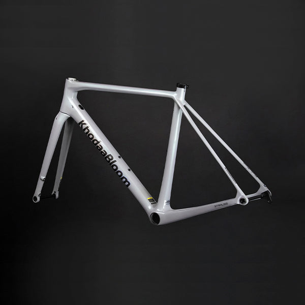 【2025年モデル】STRAUSS PRO RACE2 FrameSet
