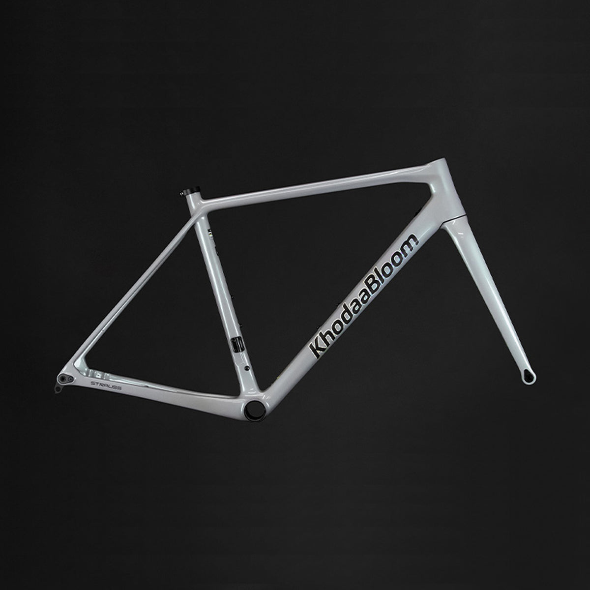 【2025年モデル】STRAUSS PRO RACE2 FrameSet