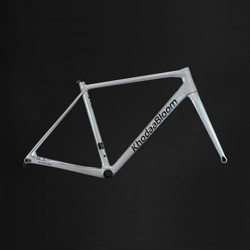 【2025年モデル】STRAUSS PRO RACE2 FrameSet