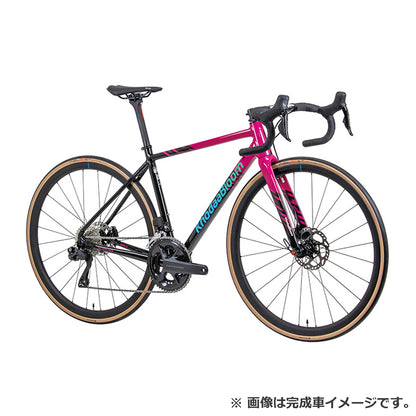 【2025年モデル】STRAUSS RACE2 FrameSet（フレームセット）