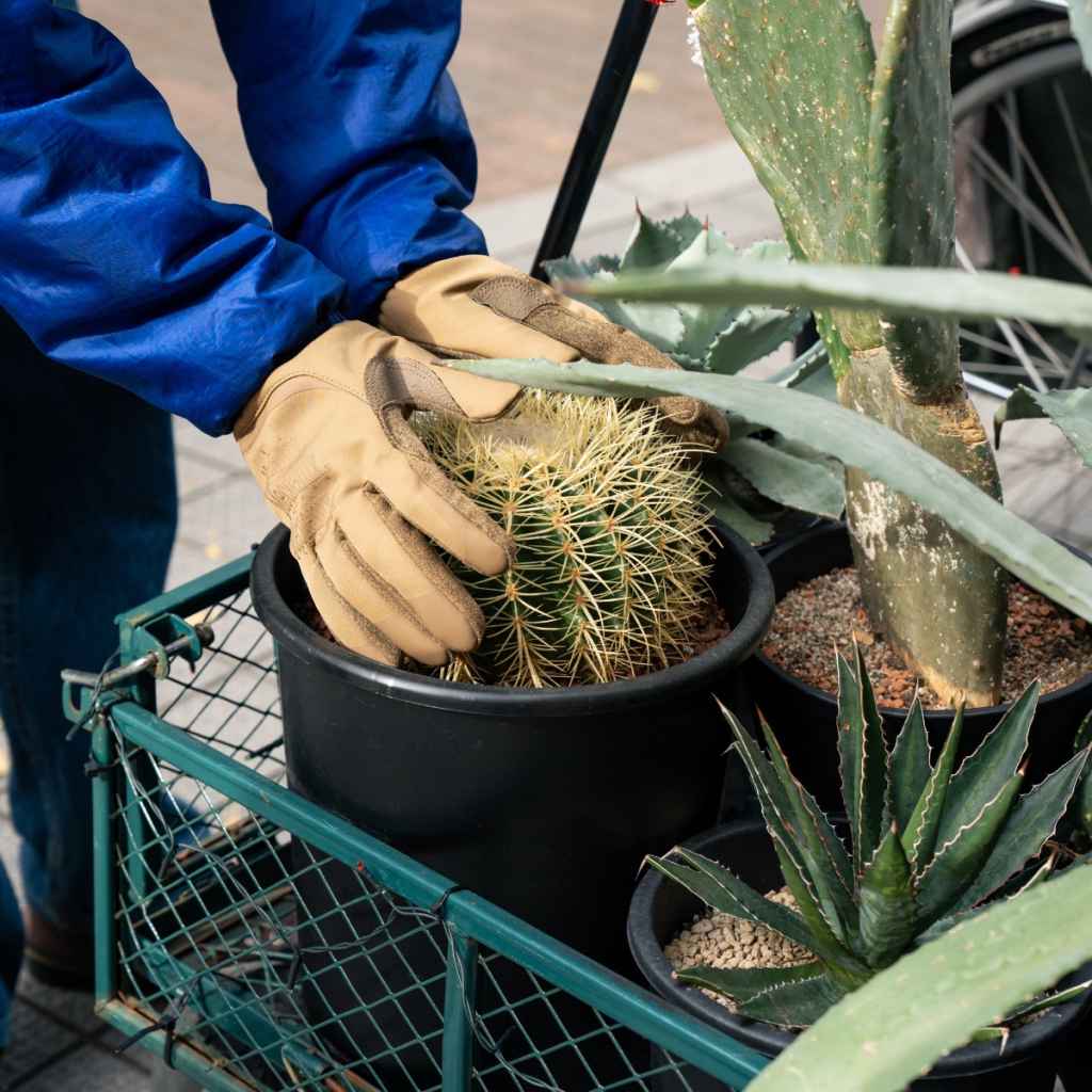 coldwork fastfit glove Mechanix Wear メカニクス 冬用ワークグローブ 防風グローブ 自転車 タッチスクリーン対応手袋 軽作業 グローブ 冬 ソフトシェル グローブ 起毛トリコット 手袋