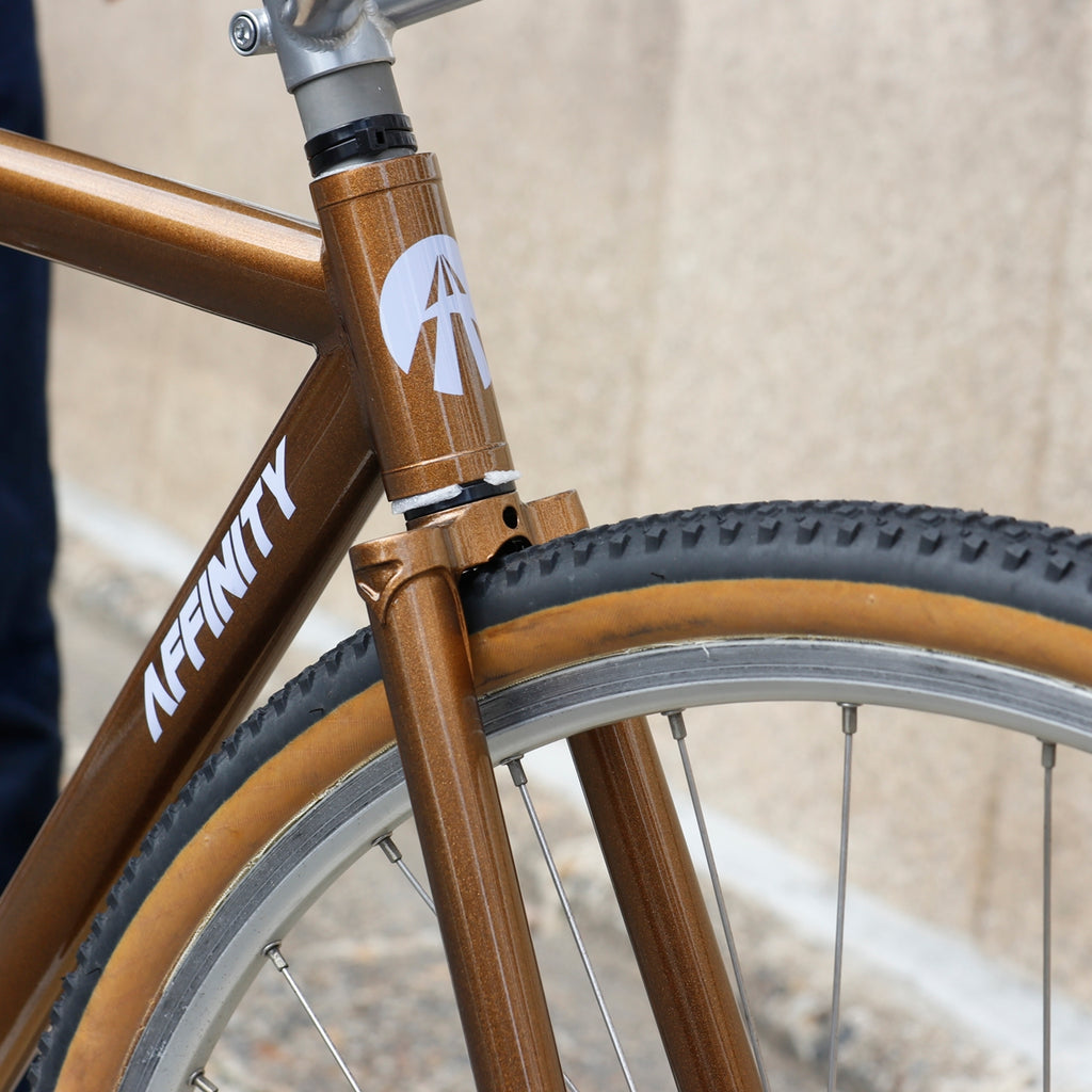 AFFINITY CYCLES_【2024年モデル】Lo Pro（フレームセット）