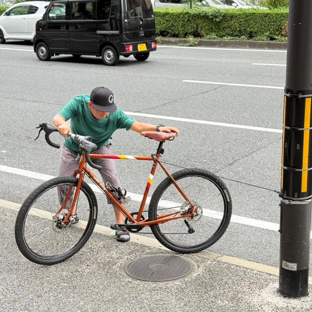 wanawa lock TAMBAR ワナワロック カラビナロック ロープロック 盗難補償 自転車セキュリティ オーストリッチ製ポーチ